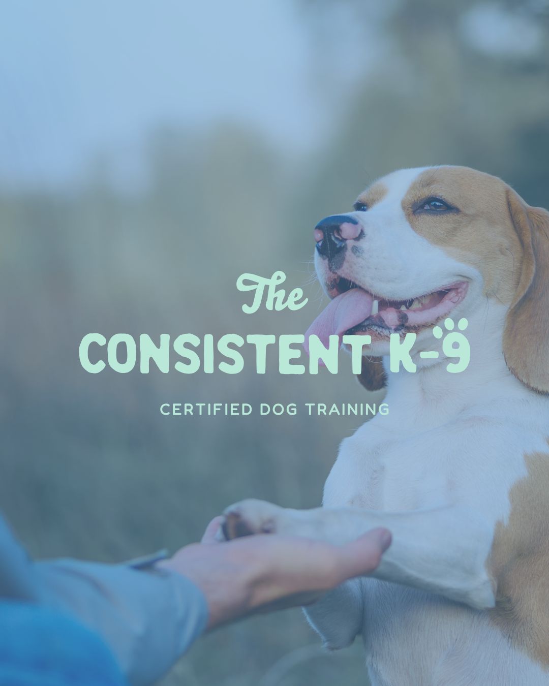 A clean, modern logo design for a culture-driven dog trainer brand, featuring bold typography and a friendly dog icon